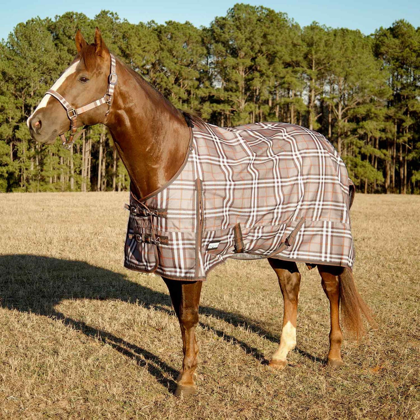 Jeffers Poplar Turnout Sheet