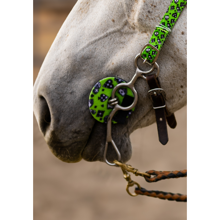Schulz Equine Bit Guard