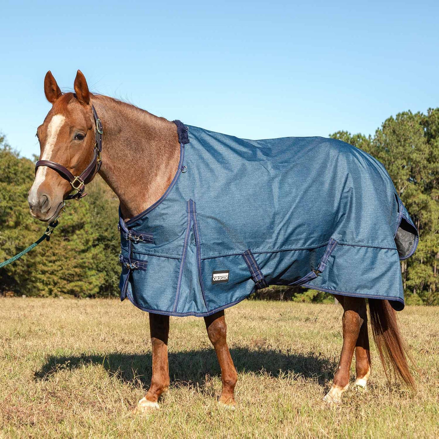 Jeffers Poplar Turnout Sheet