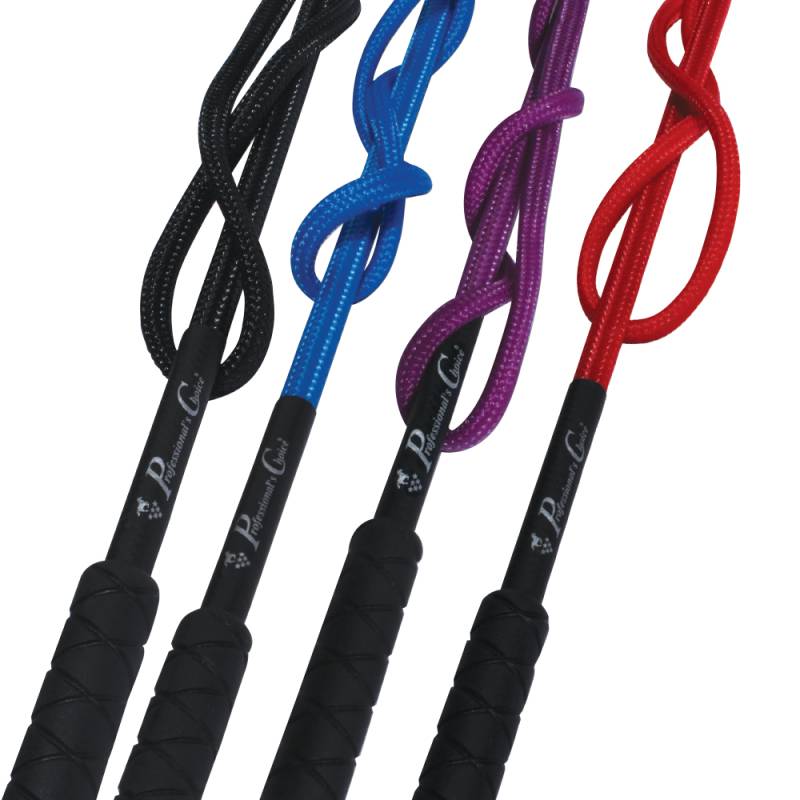Professional's Choice Lunge Whip