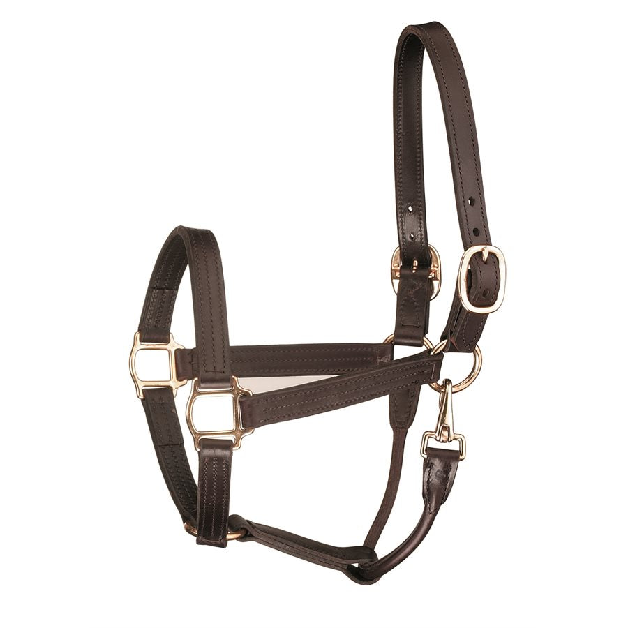 Perri Leather Halter Havana