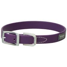 Terrain Dog Xtreme Adventure Collar