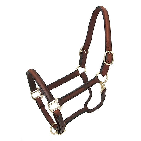Tough 1 Raised Leather Halter
