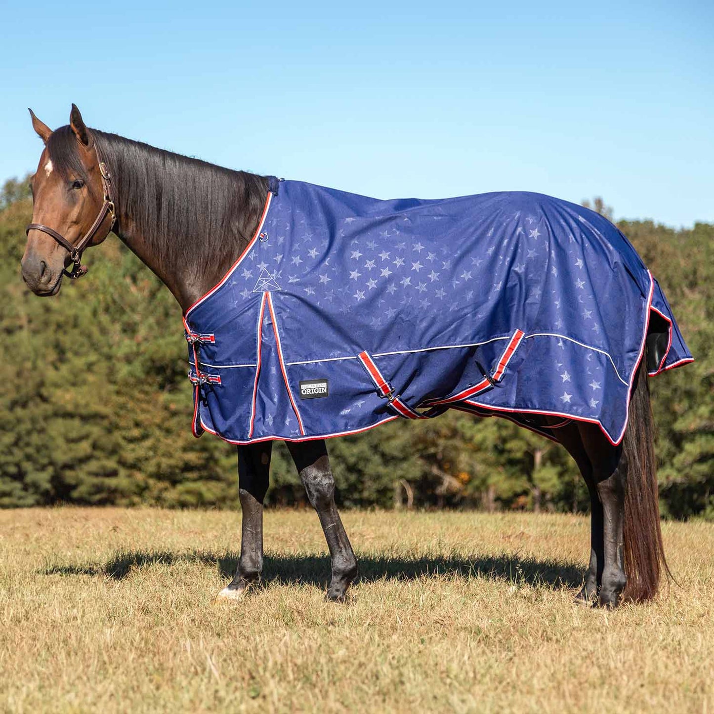 Jeffers Poplar Turnout Sheet
