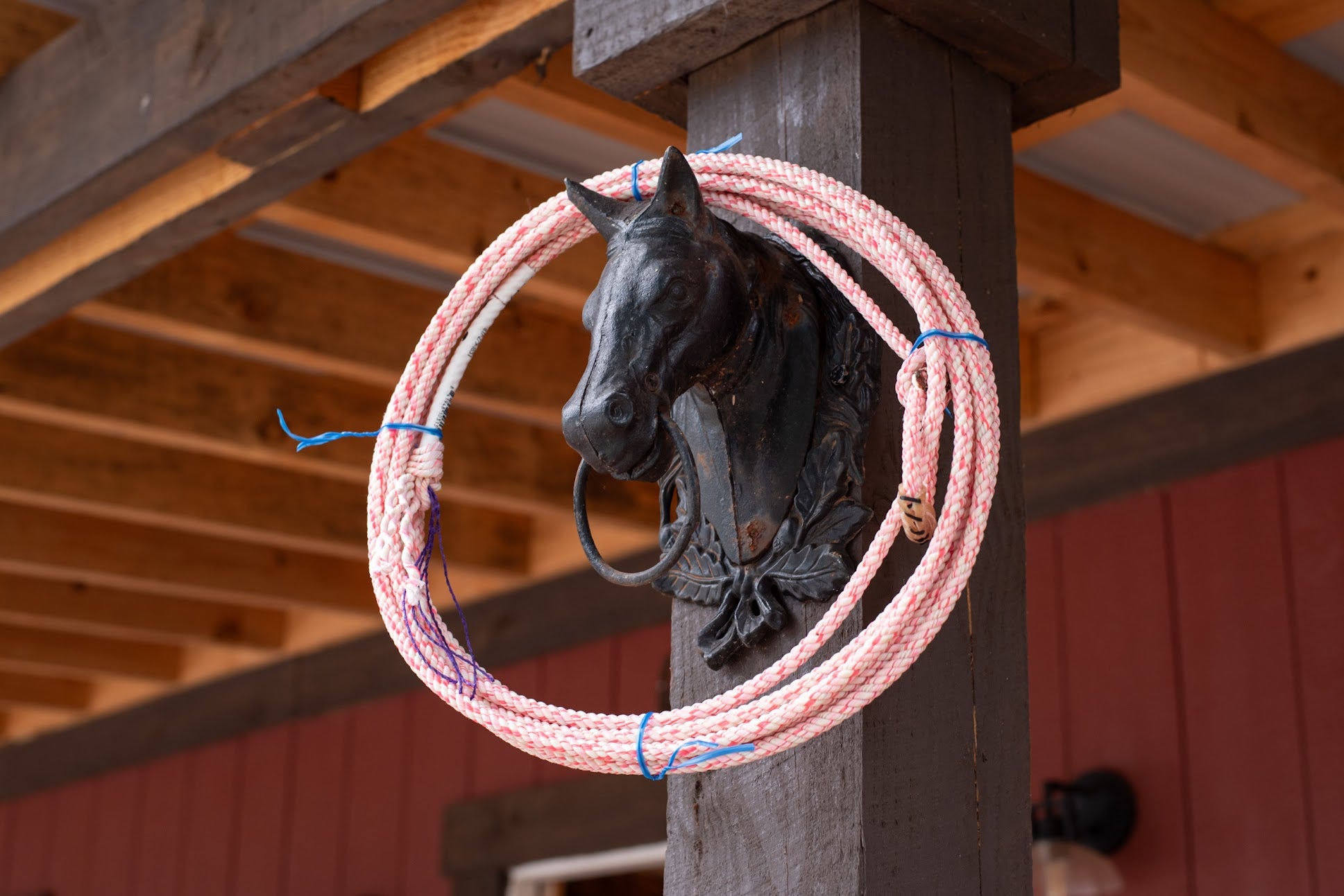 Fast Back Athena Breakaway Rope – Back Country Tack