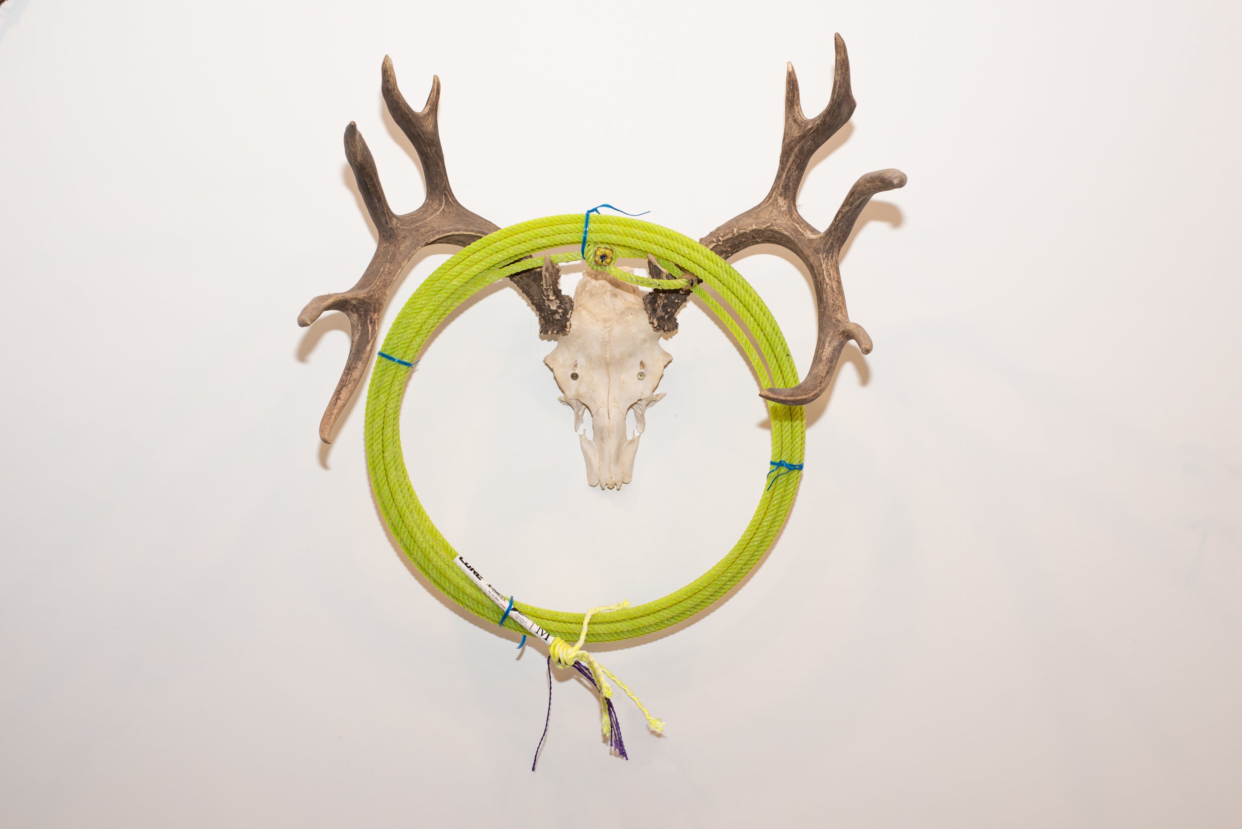 Cure Rope Fast Back Cure Head Rope 31' – Back Country Tack