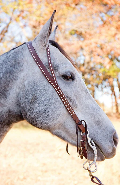 Oxbow Split Ear Headstall with White Buckstitch