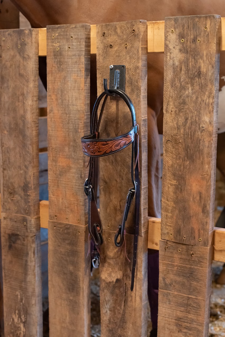 Professional's Choice Prairie Flower Browband Headstall