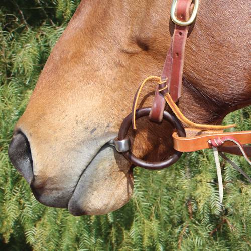 Professional's Choice Bob Avila Copper Sweet Iron Twisted Snaffle