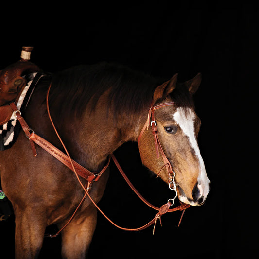 Weaver Barbed Wire Browband Headstall