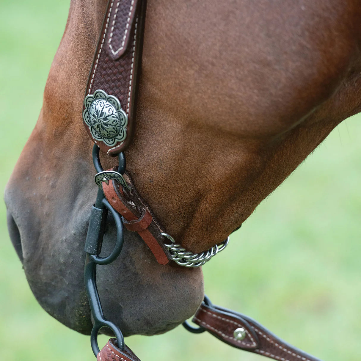 Weaver Cowboy Basin Split Ear Headstall