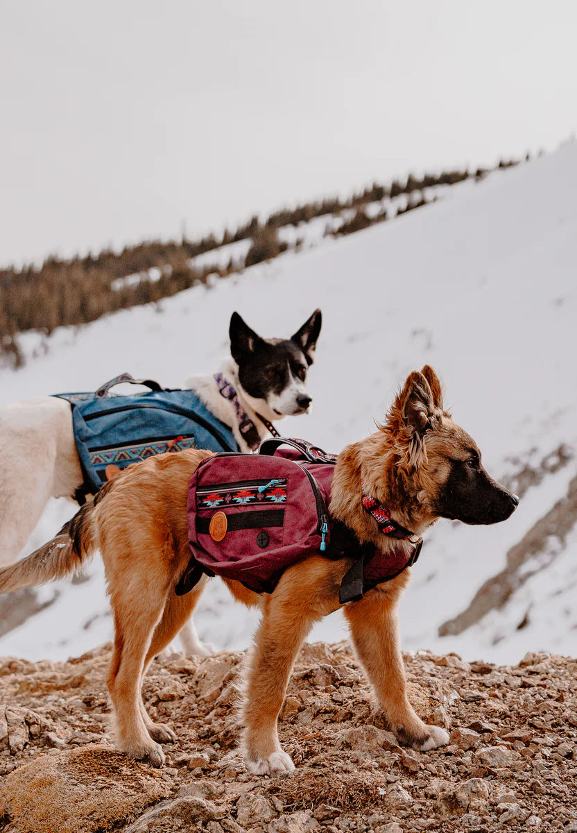 Wilderdog Dog Backpack – Back Country Tack