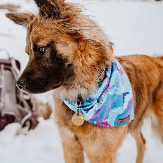 Wilderdog Alpenglow Bandana