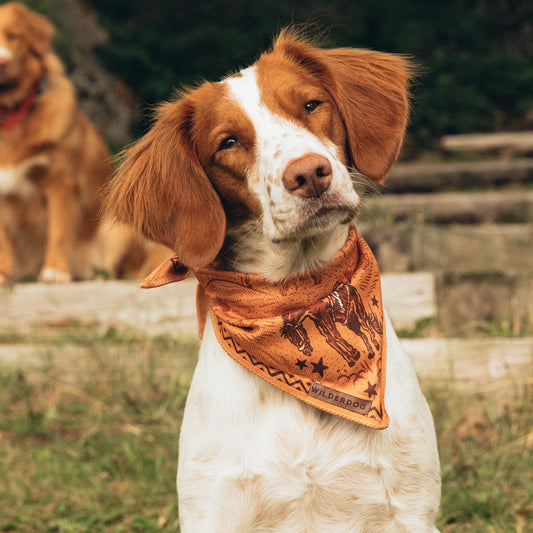 Wilderdog Cowpoke Bandana