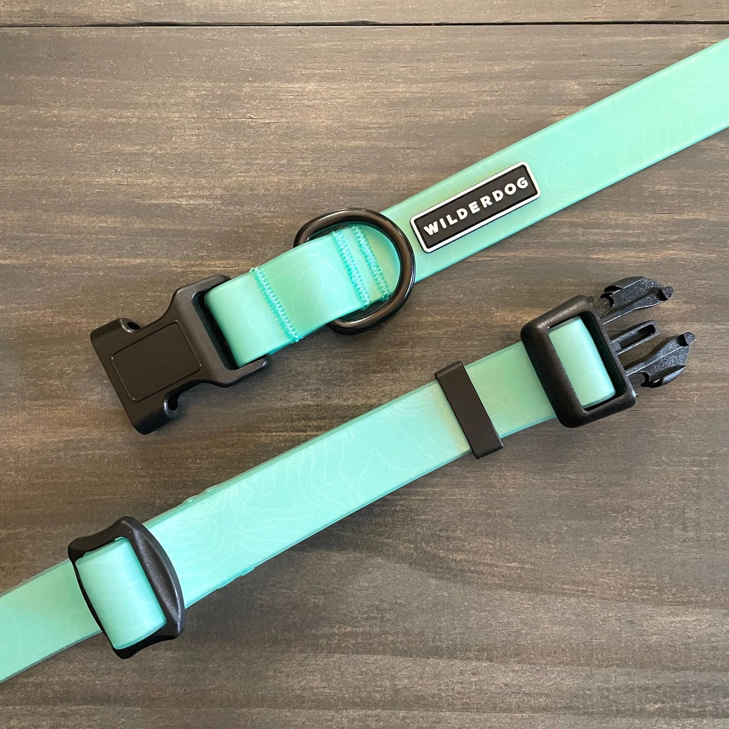 Wilderdog Waterproof Collar Seafoam